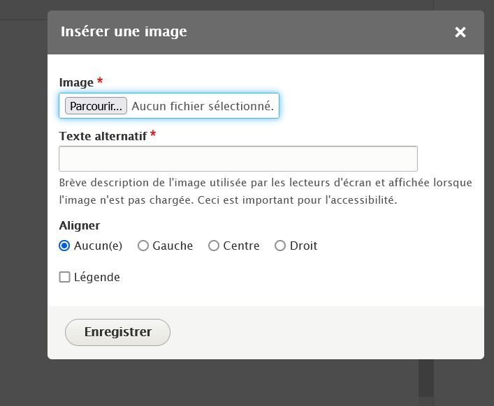 texte alternatif